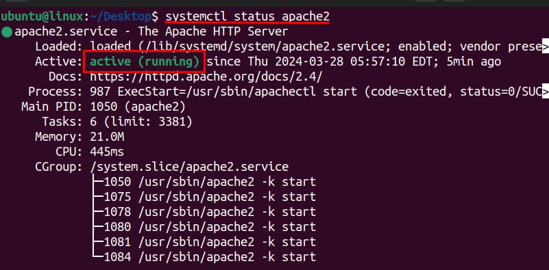 Apache virtual host