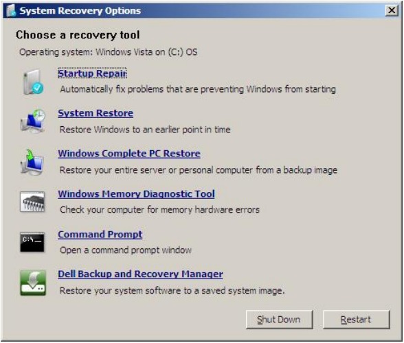 Backup recovery options