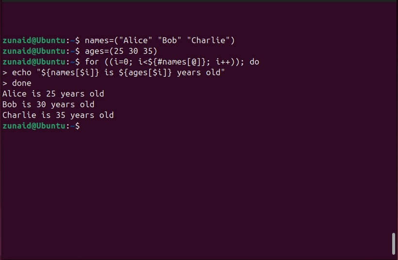 Bash array types