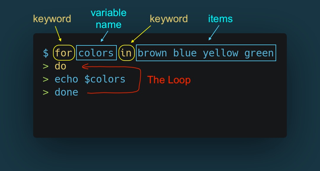 Bash loop selection