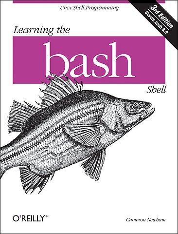 Bash next lessons