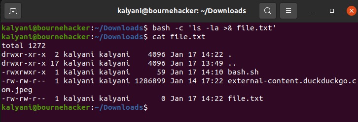 Bash redirection operators