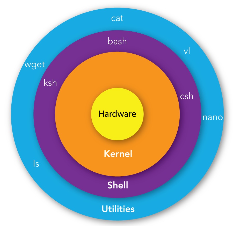 Bash startup modes