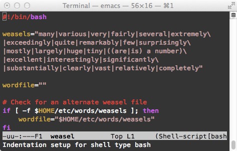 Bash string tests