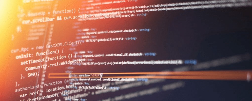Bash wildcard expansion