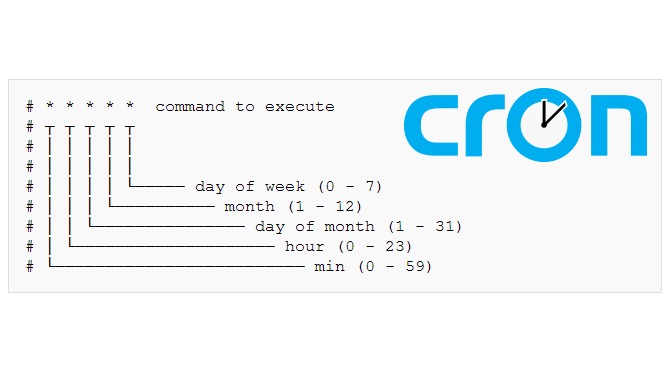 Cron callback output