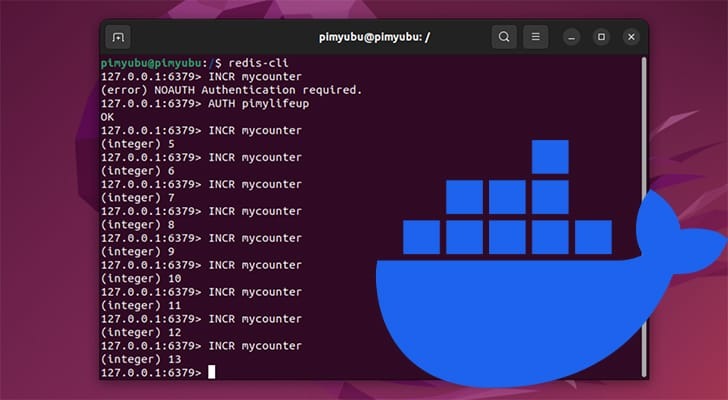 Docker Redis volume