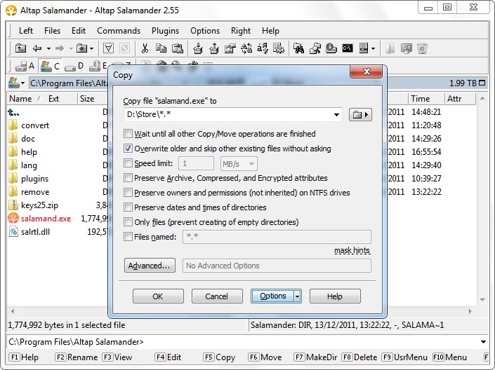 File overwrite options
