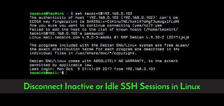 Independent SSH session