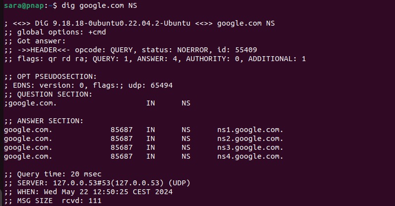 Linux DNS lookup