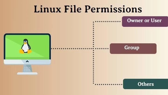 Linux file permissions