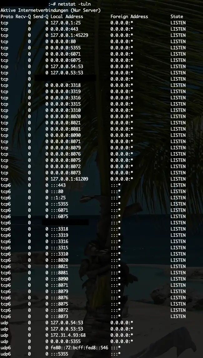 Linux listening ports