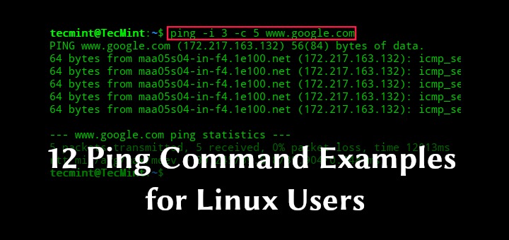 Linux ping diagnostics