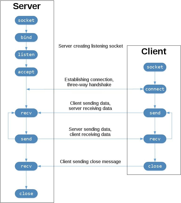 Missing socket process