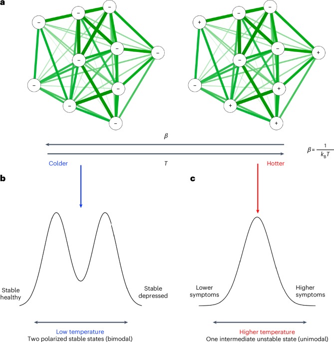 Network symptom selection