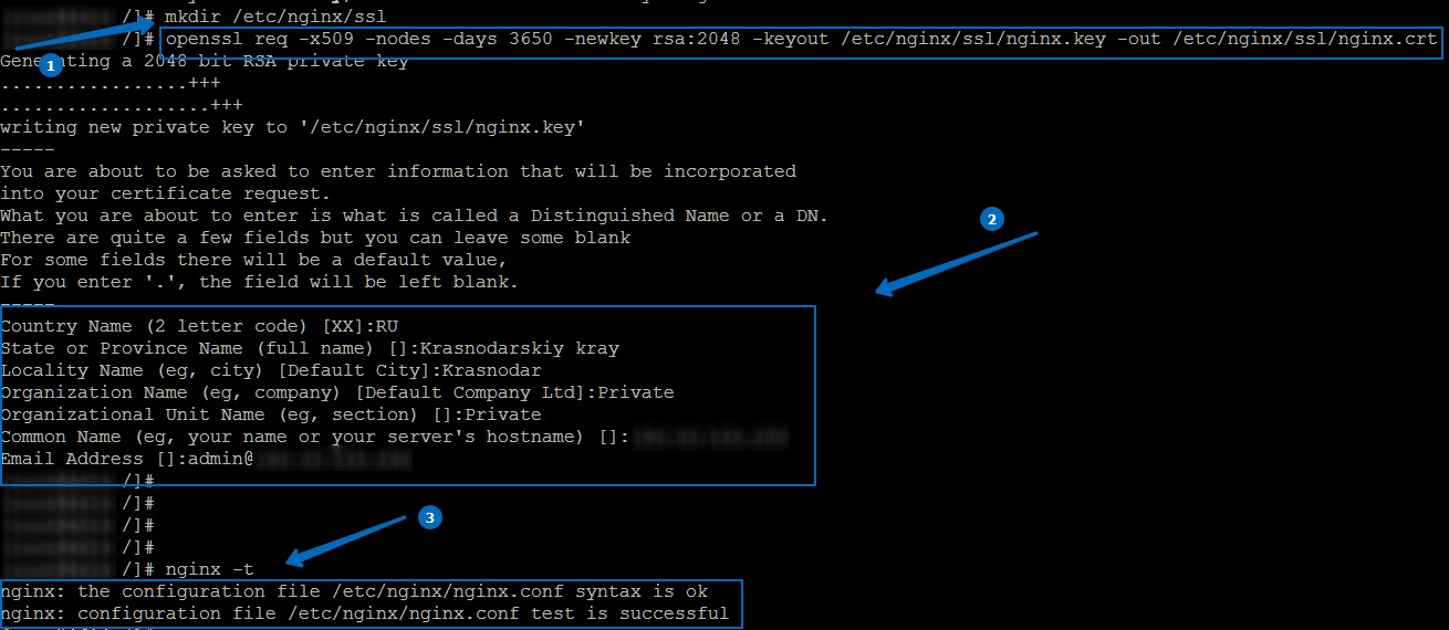 Nginx certificate files