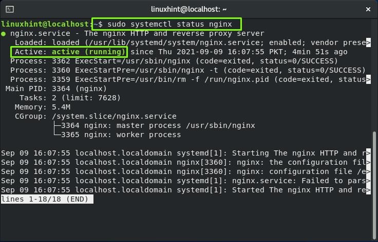 Nginx configuration inspection