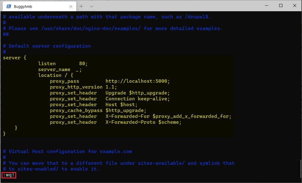 Nginx configuration rollback