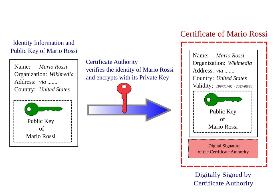 Public TLS certificate