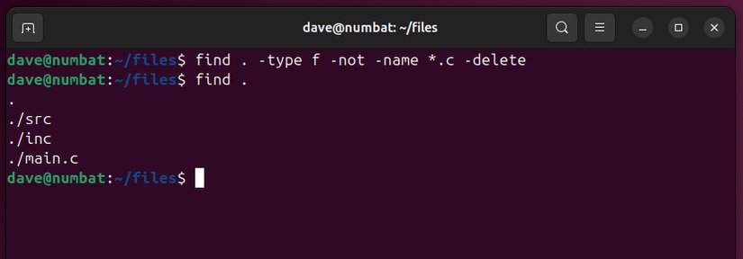 Quoted directory wildcard