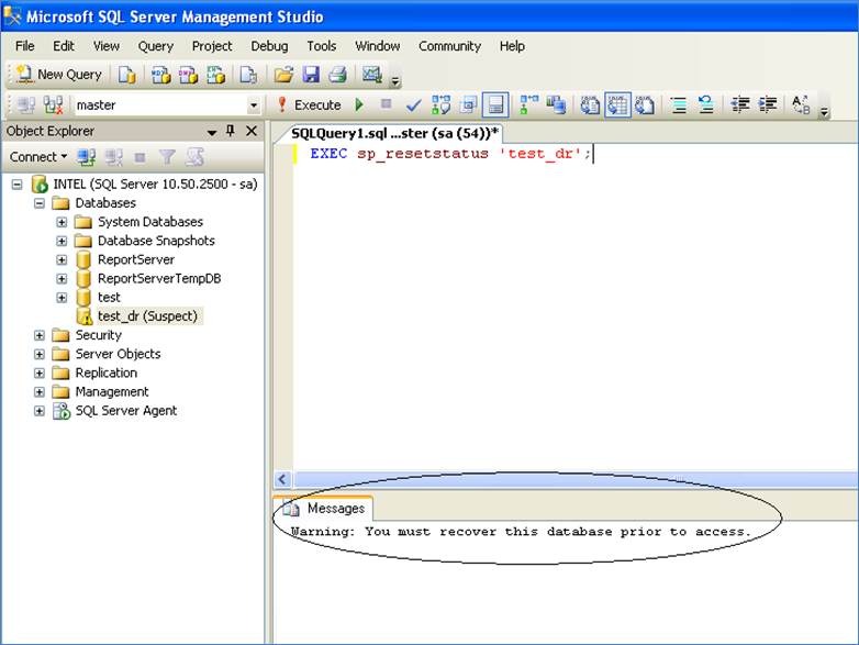 Recovered database verification