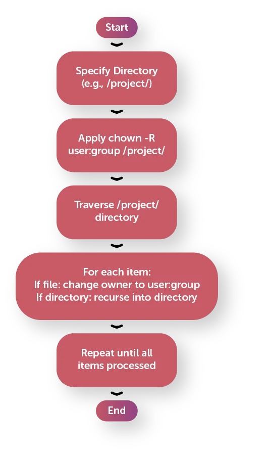 Recursive chmod directory scope