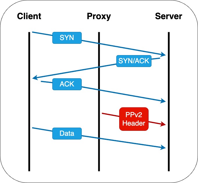 Reverse proxy protocol