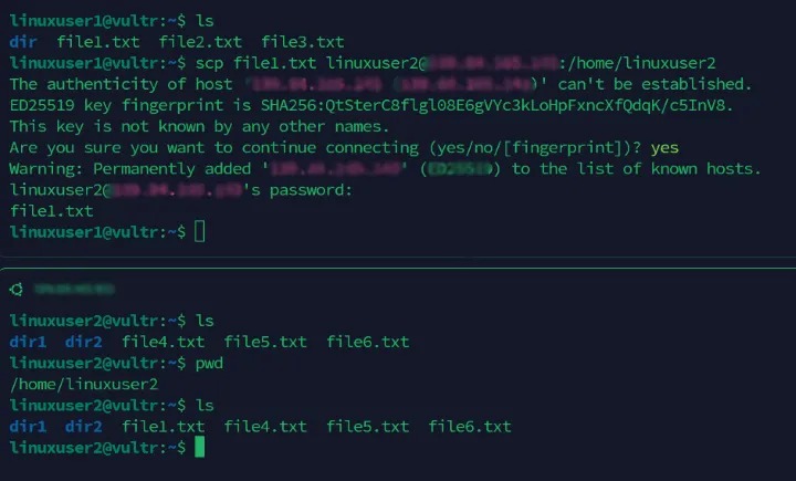 SCP SSH port and key options
