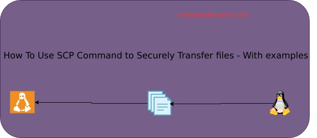 SCP transfer verification commands