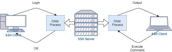 SSH administrator login