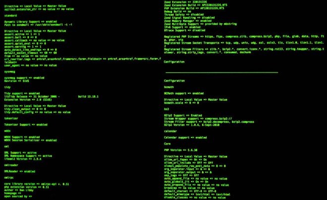 Safe Bash output