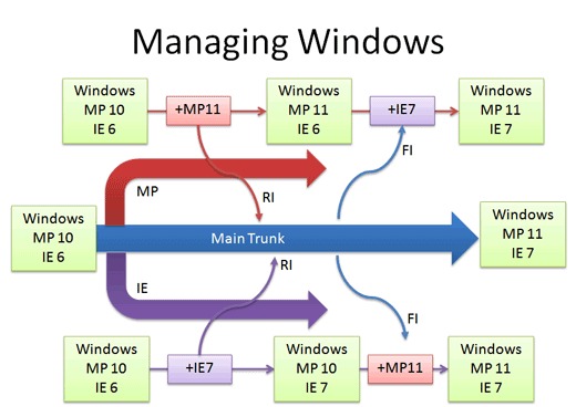 Software version sources