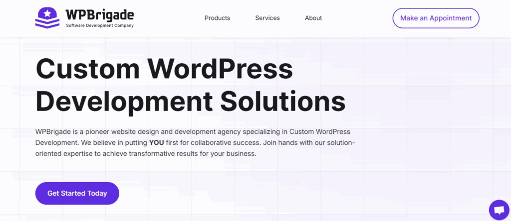 Specialized WordPress repairs