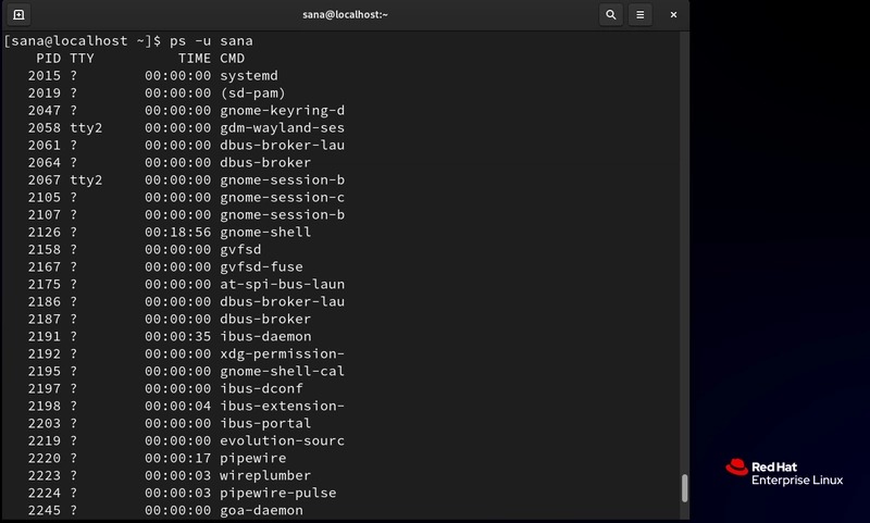 Terminal process view