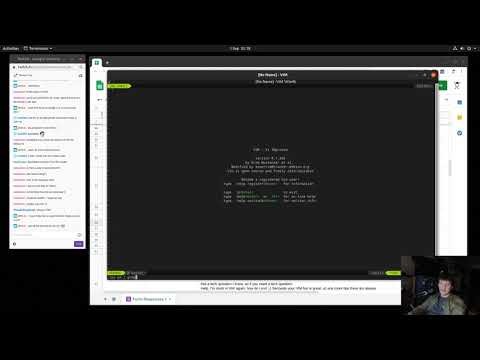 Vim quit error