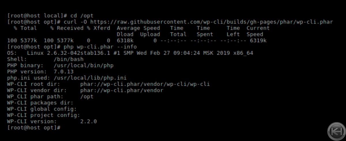 WP CLI configuration