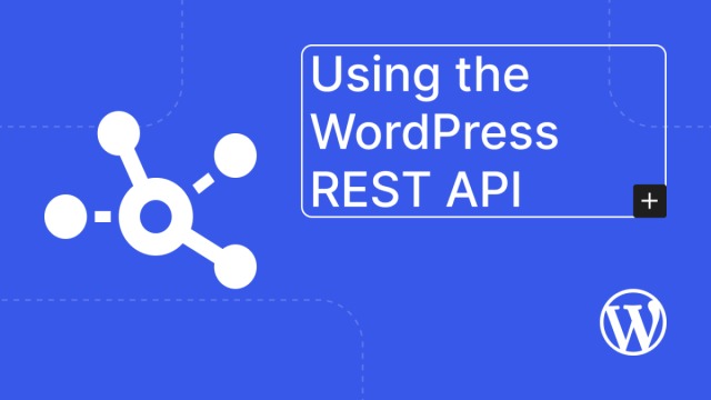 WordPress API restrictions