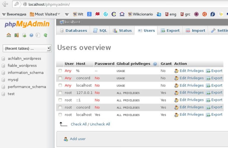 WordPress MySQL database
