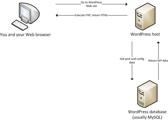 WordPress cache status