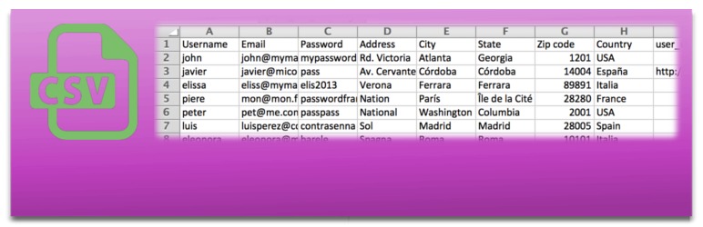 WordPress database import