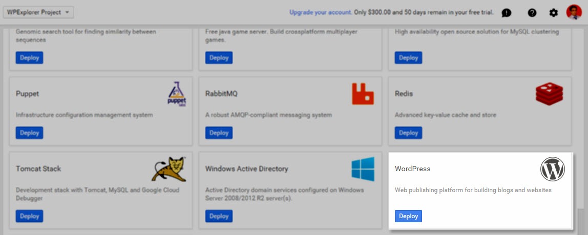 WordPress deployment choices