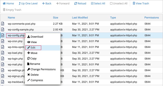 WordPress failure symptoms