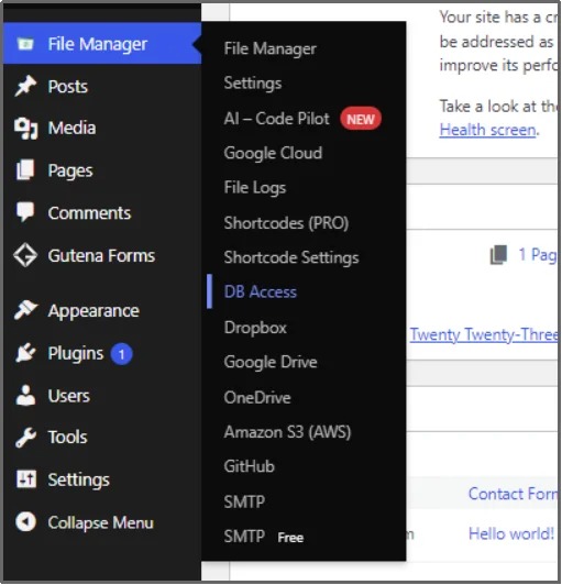 WordPress file access