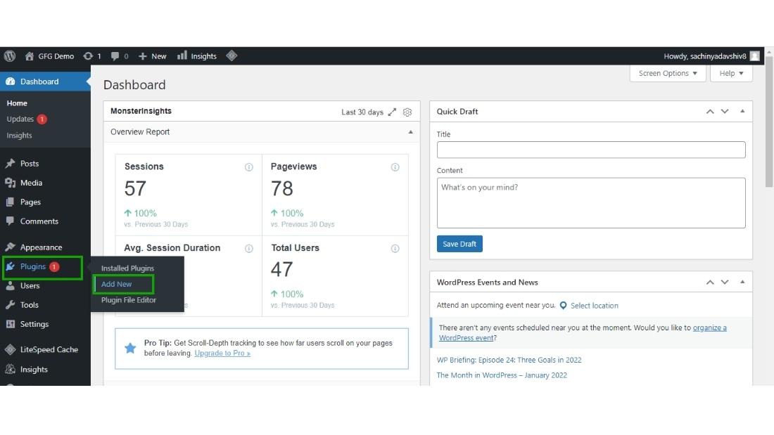 WordPress plugin access
