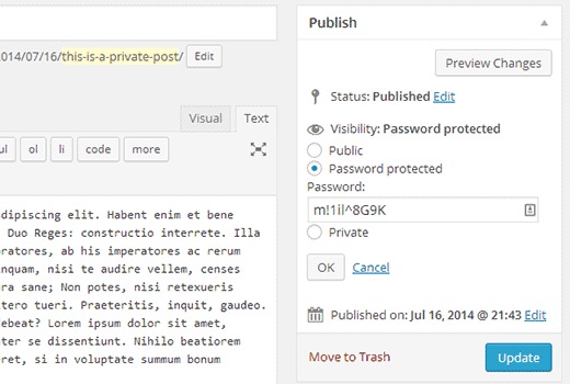 WordPress private preview