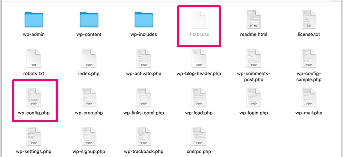 WordPress root directory file placement