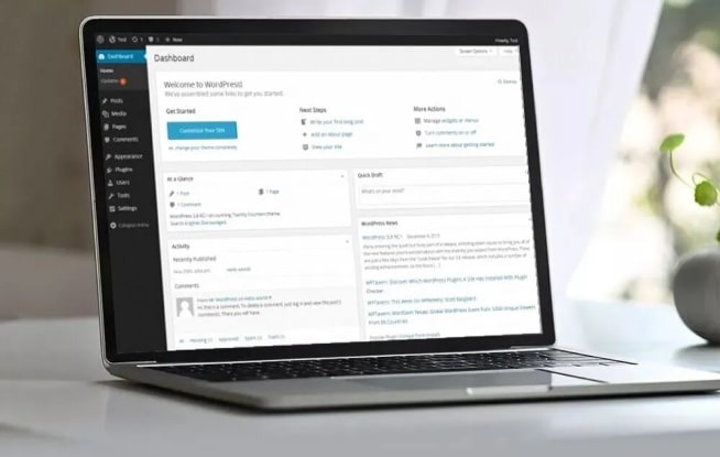 WordPress software and hosting