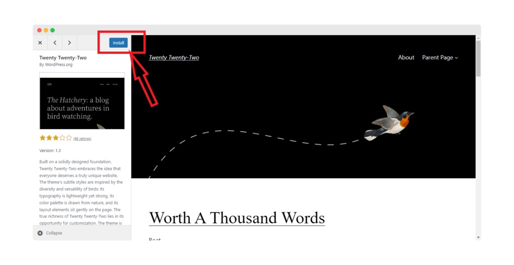 WordPress theme test