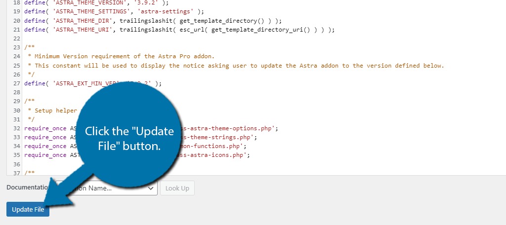 WordPress update controls