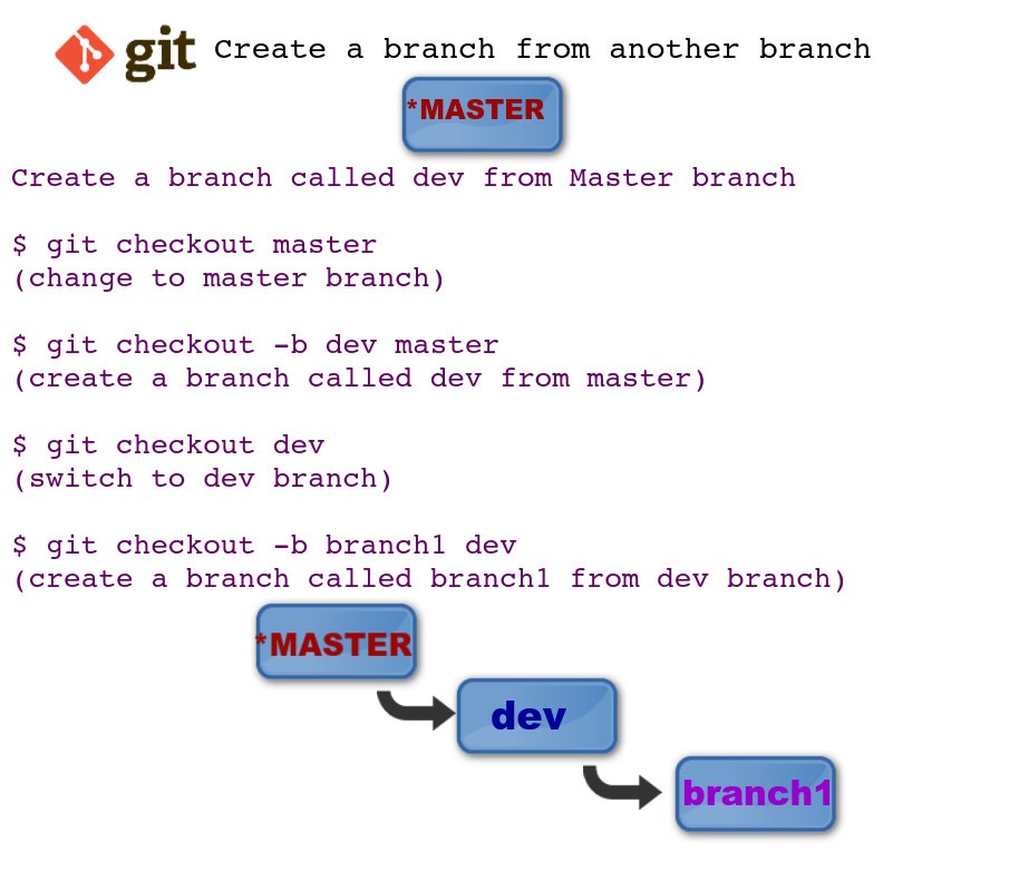 bash branching choice